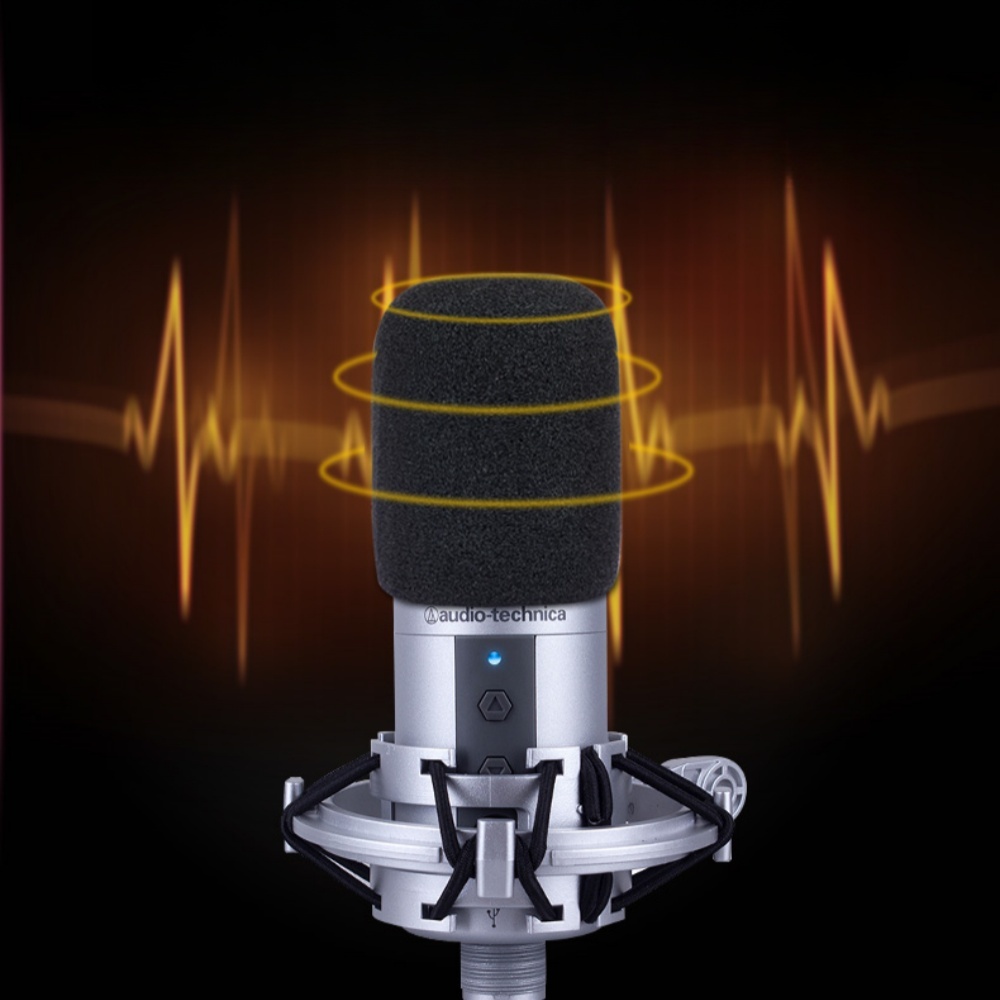 2PCS AT2020 Microphone Windscr - đánh giá và giá Ribbon Microphone