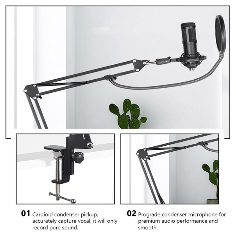 AED4-BM800 Studio Recording Mi - đánh giá và giá Condenser Microphone Kit