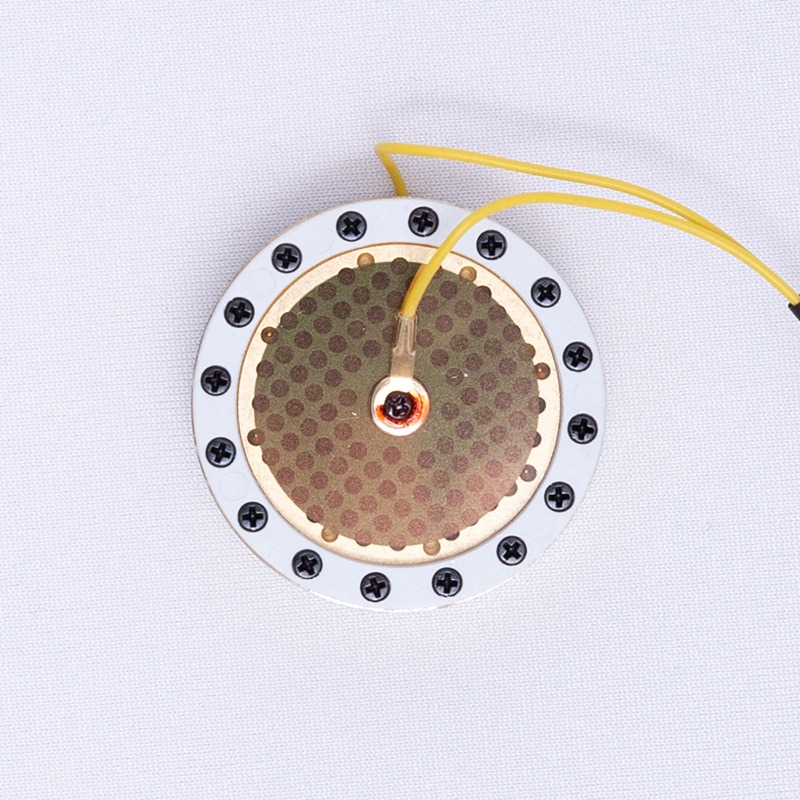 RK-87 Large Diaphragm Micropho - đánh giá và giá Microphone Capsule