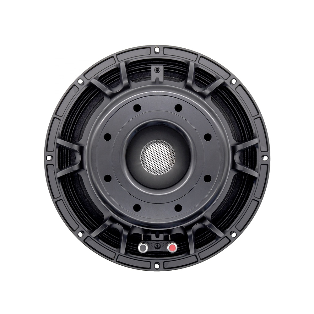 12DS Pro Audio Equipment 12''  - đánh giá và giá Subwoofer