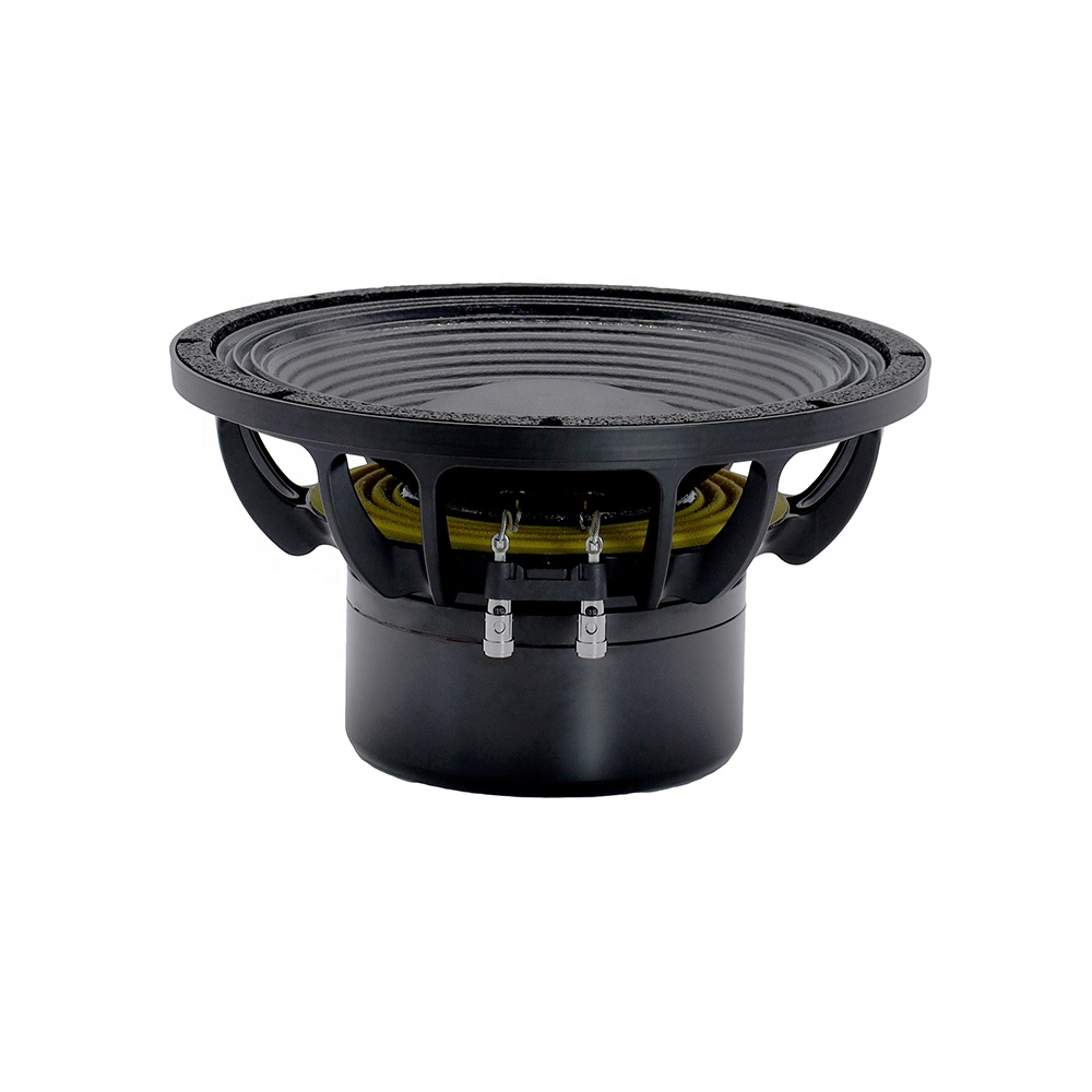 12DS Pro Audio Equipment 12''  - đánh giá và giá Subwoofer