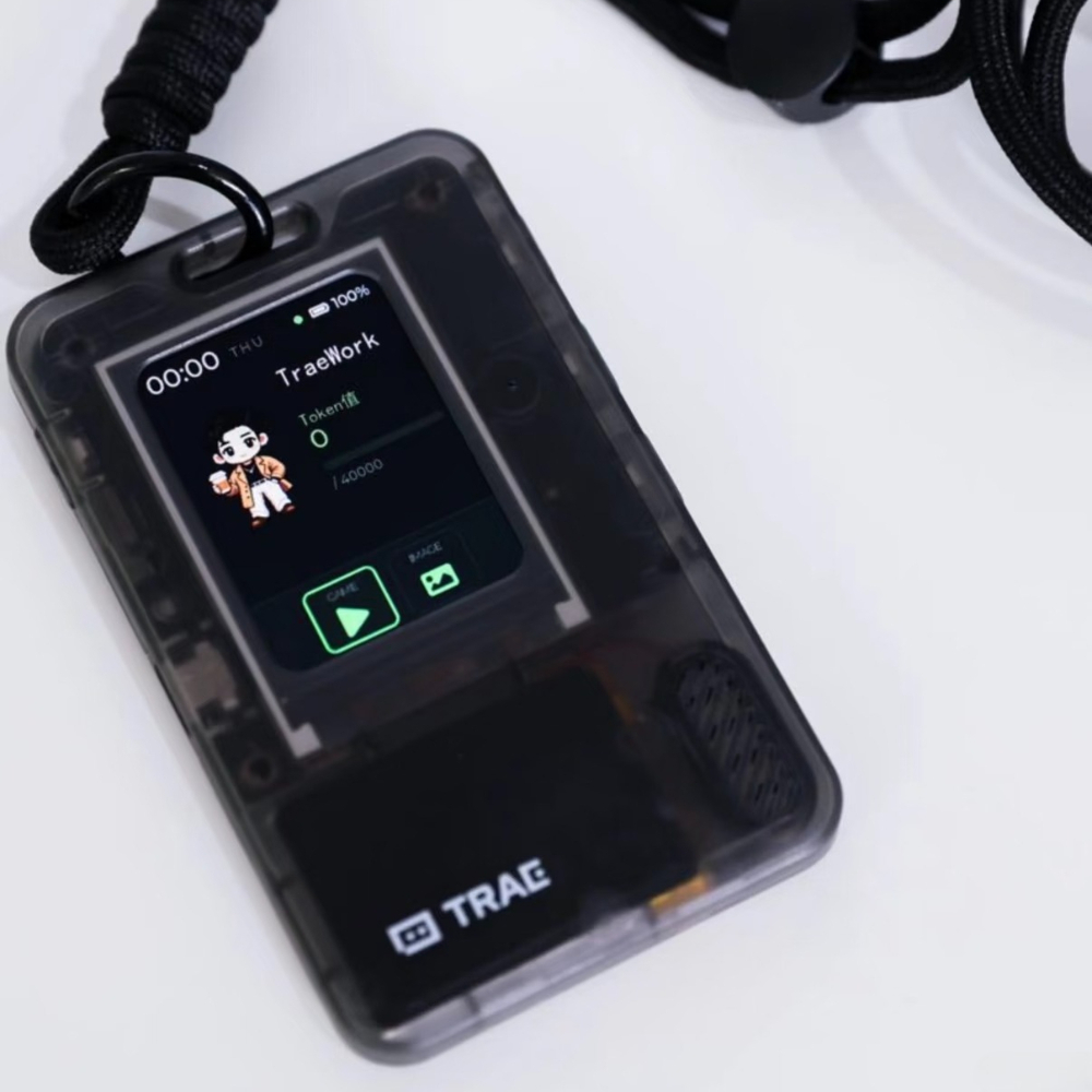 FoloToy AI PASSPORT Electronic - đánh giá và giá Diy Speaker